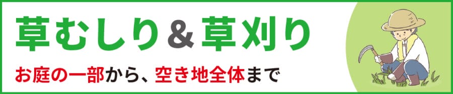 èãããïŒèåã ãåºã®äžéšããã空ãå°å
šäœãŸã§